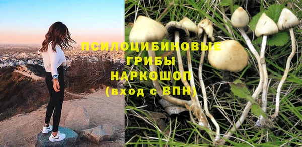 прущий лед Арсеньев